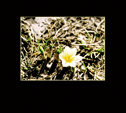 bild3